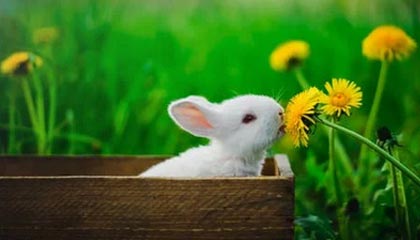 yl23455永利：以体验为笔，描绘生活的新边界