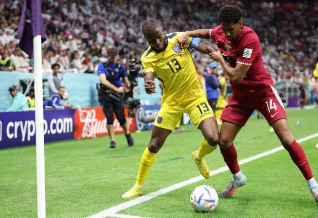 1668986140116007567.jpg dinglv2.jpg